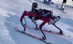 ربات اسکی باز | ربات های ورزشکار، رقیب انسان‌ها 